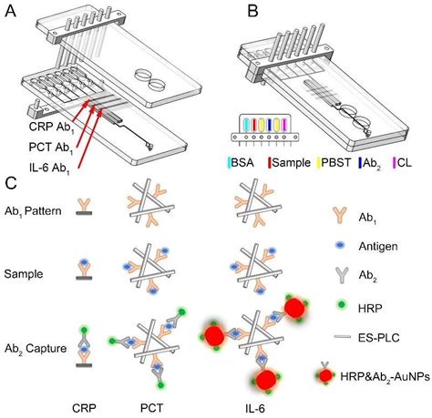 Design Of Our Microfluidic Chip And Its Detection Principle A