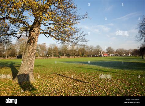 Cranmer Green Mitcham London Borough Of Merton South London England