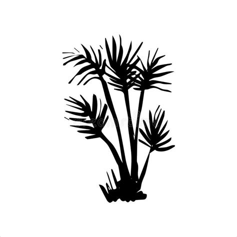 Vector Hand Drawn Illustration Of Tropical Palm Tree Stock Vector