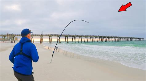 Catching Massive Fish From Shore For 2 Hours Youtube