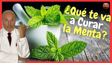 Qu Cura Y Para Qu Sirve La Menta Como Planta Medicinal Usos Y