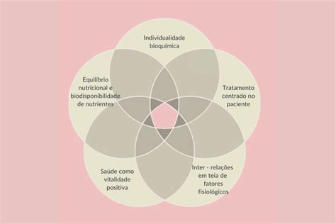 Cinco Pilares Da NutriÇÃo Funcional Cátia Miranda Nutrição Clínica