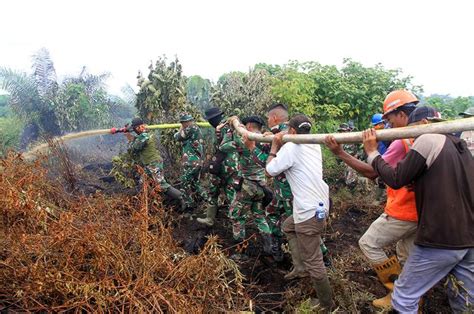 Pemadaman Kebakaran Hutan Dan Lahan Di Aceh Tak Cukup Seminggu Fotokita