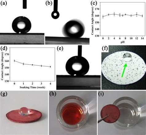 Figure 4 From Synthesis Of Discrete Alkyl Silica Hybrid Nanowires And