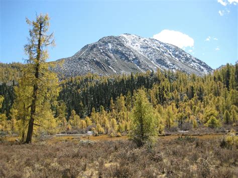 Qionglai Minshan Conifer Forests One Earth