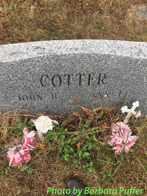 Ann Elizabeth Anderson Cotter Find A Grave Memorial