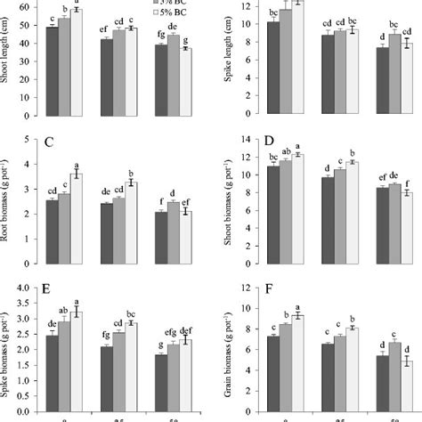 Shoot Length A Spike Length B Root Biomass C Shoot Biomass