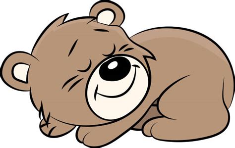 Drawing Of Sleeping Bear Cub Illustrations, Royalty-Free Vector ...