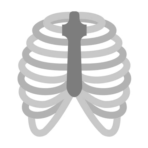 Rib Cage Generic Flat Icon