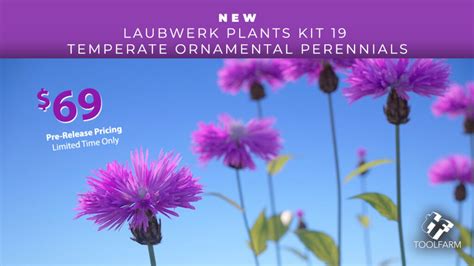 New Sale Laubwerk Plants Kit 19 Ornamental Perennials Pre Release