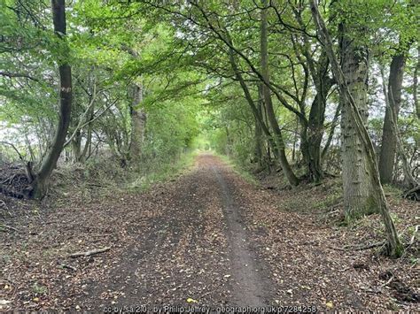 Tree Lined Byway Along The Roman Road Philip Jeffrey Cc By Sa