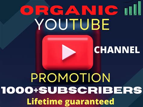 1000 Real Youtube Subscribers For Your Channel Upwork