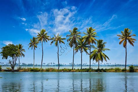 Backwaters Of Kerala Images, HD Pictures For Free Vectors Download ...