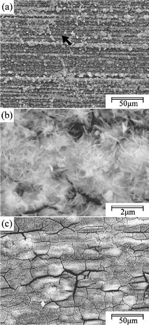 Figure From Corrosion Resistance Of Cerium Conversion Coated Az