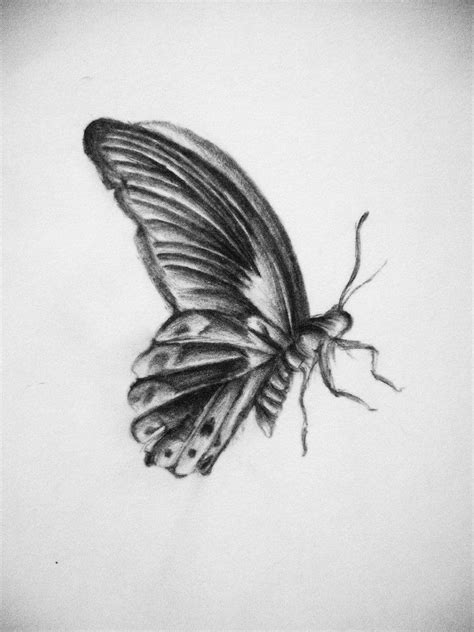 A Butterfly Sketch By Glowinggracie On Deviantart Butterfly Sketch