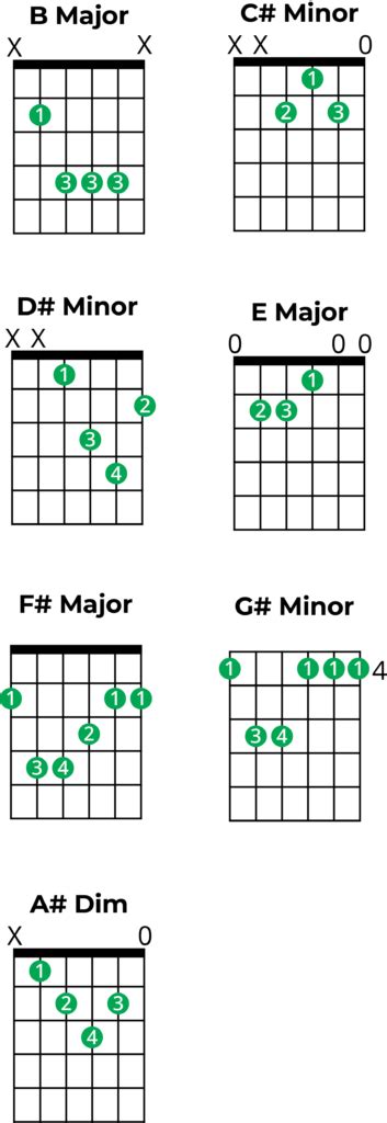 Chords in B major: A Music Theory Guide