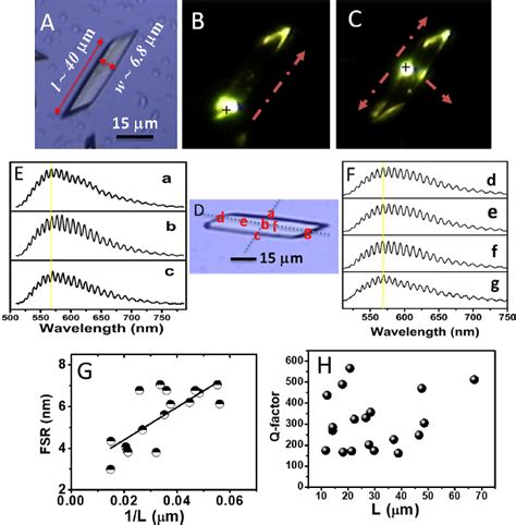 A Optical Micrograph Of A Single Of TTO Micro Crystals B And C PL