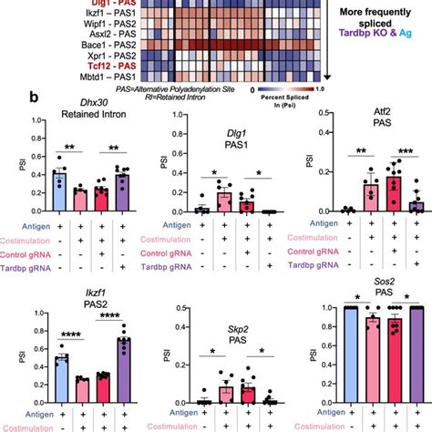 Rbp Tardbp Binds To Immune Regulatory Genes Containing Splicing Events Download Scientific