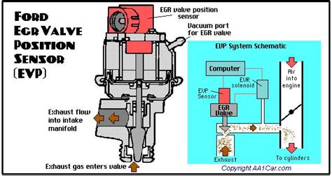 Egr Valve Diagram