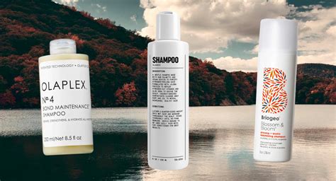 25 Best Shampoos For Every Hair Type