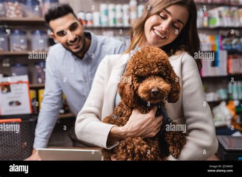 Smiling Woman Holding Poodle Near Blurred Arabian Salesman In Pet Shop