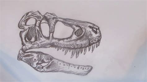 Speed Drawing A T Rex Skull Danny The Dinosaur Drawer Youtube