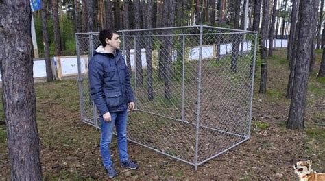 Простой вольер для собаки из сетки рабицы. 10 фото своими руками