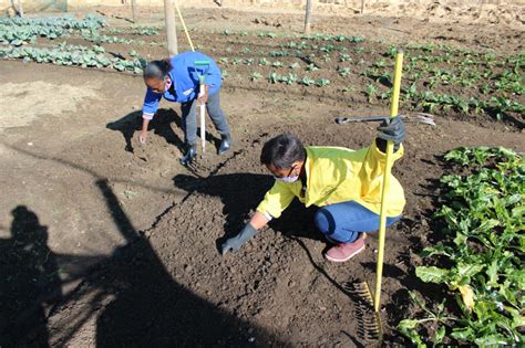 Creating A Sustainable Garden To Feed The Eldos Community Soweto Urban