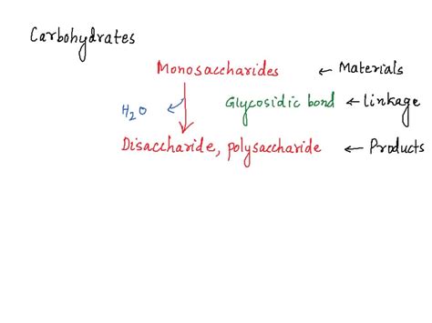 SOLVED: How is the dehydration synthesis of lipids different from ...