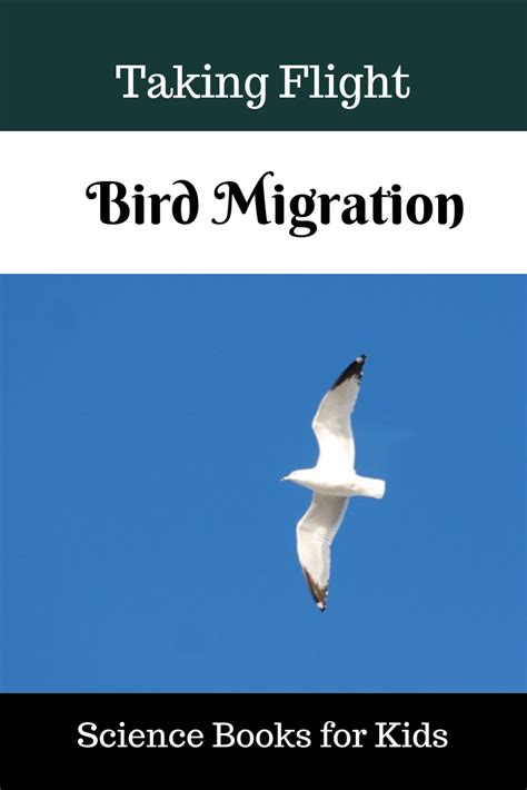 bird migration books for kids – Science Books for Kids