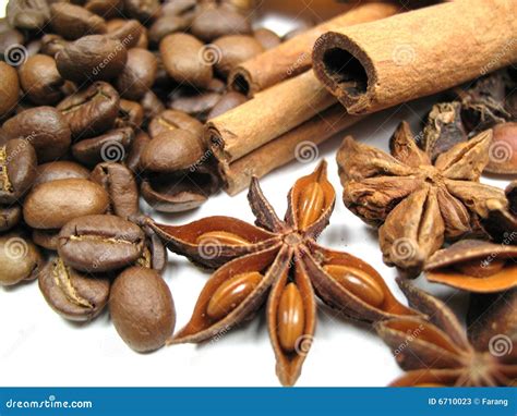 Coffee Anise And Cinnamon Stock Image Image Of Bark 6710023