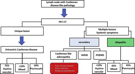 Diagnosis Of Castleman Disease Hematologyoncology Clinics