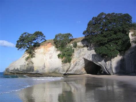 North Island Self Drive Tour In New Zealand Responsible Travel