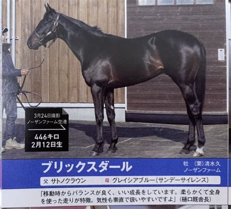 【pog】20221120デビュー 2歳新馬 競馬王新聞×ゆるっとまとめ まいこのヘタ馬パラダイス！