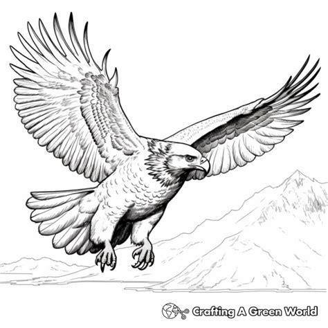 Falcon Coloring Pages Free Printable