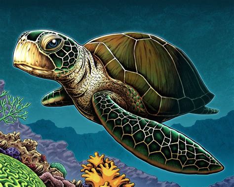 Ocean Animal Art Print Sea Turtle Nicholas Ivins Sea Turtle Art