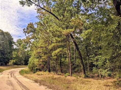 0 09 Acres In Trinity County Texas