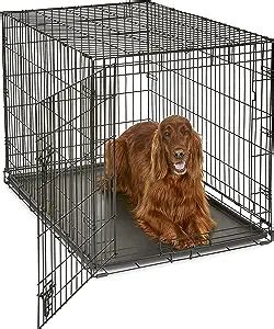 The Ultimate Guide to Buying a Small Dog Crate - Types, Features, Prices, and Tips