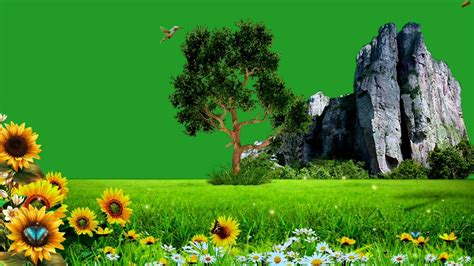 Beautiful Nature Green Screen Video Nature Green Screen Background