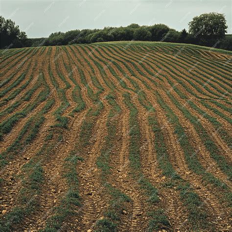 A detailed image of a field with indicators of different crop phases in