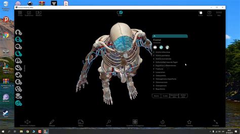 Atlas 3d Para Estudiar Anatomía Youtube