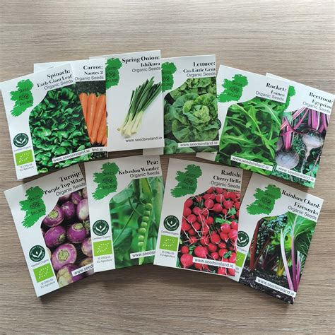 Easy To Grow Vegetable Seed Assortment Beginner Seed Collection