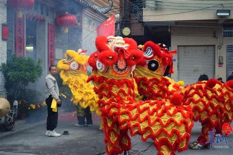 近百头醒狮进村贺岁，广州黄埔“茅岗会”闹元宵醒狮元宵采青新浪新闻