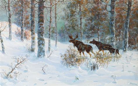 winter moose family - /scenic/wallpaper/winter/winter_moose_family.jpg.html