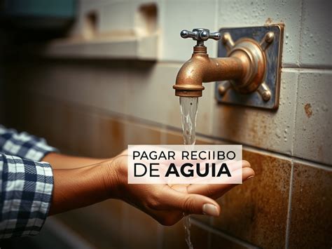 Gu A Para Pagar Recibo De Agua En L Nea En Uruapan Orsavi