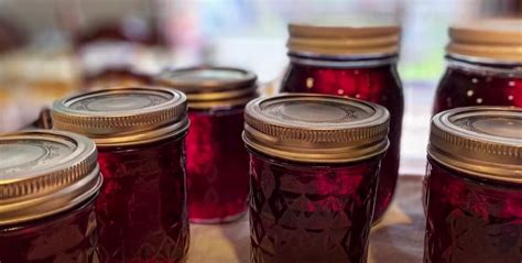 Muscadine Jam Recipes | Dandk Organizer