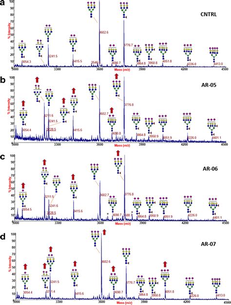 Serum N Glycosylation Analysis Of Alg2 Cdg Patients High Mass Range