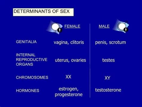 Gender And Sex PPT Pptx