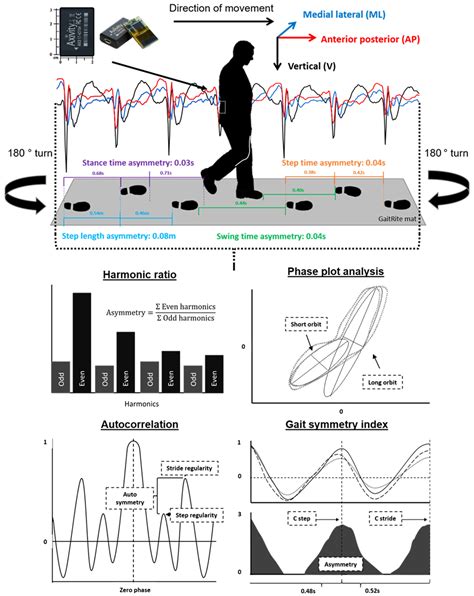 Sensors Free Full Text Gait Asymmetry Post Stroke Determining