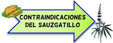 Propiedades Del Sauzgatillo Botanical Online